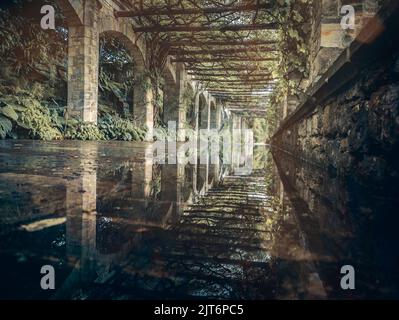 Pergola Walk in Hever Castle and Gardens, dem Sitz der Familie Boleyn, in der Nähe von Edenbridge, Kent, Großbritannien Stockfoto