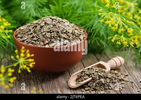 Schüssel und Schaufel Fenchelsamen und Trauben von frischem grünem Dill auf Holzbrett. Stockfoto