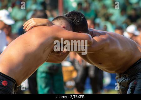 Bursa, Türkei - August 2022: Traditionelle türkische Ölwrestling, Wrestler kämpfen, um ihre Gegner auf dem Gras an heißen, sonnigen Tag zu schlagen, selektive Fokus. Stockfoto