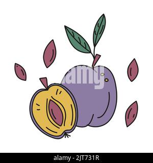 Vektor-Illustration von Pflaume ganz und geschnitten mit Gruben in Doodle-Stil. Stock Vektor