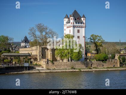 Burg Eltville: Wahlburg Stockfoto