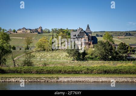 Weingut Jesuitengarten und Weingut Schloss Johannisberg Stockfoto