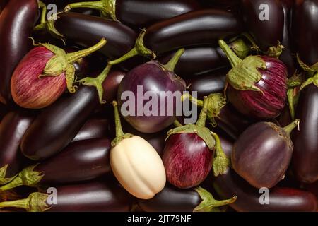 Frische Auberginen-Früchte. Verschiedene Typen. Essen im Hintergrund, Draufsicht. Stockfoto
