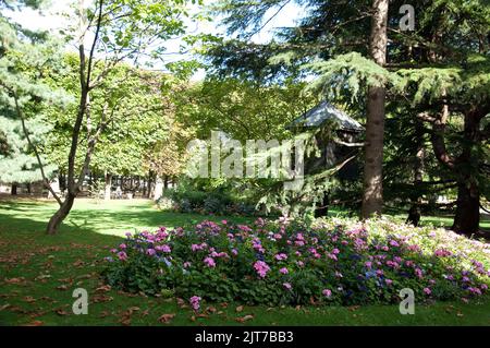 Blumen und Bäume, Jardin du Luxembourg, Paris, Frankreich Stockfoto