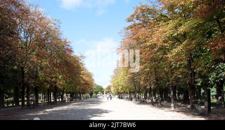 Hauptweg, Jardin du Luxembourg, Paris, Frankreich Stockfoto