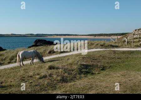Malltraeth Bay von Llanddwyn Island, Anglesey, Wales, Großbritannien Stockfoto