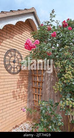 Im Sommer im Garten ein großer Strauß rosafarbener Rosen. Hochwertige Fotos Stockfoto