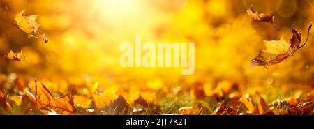 Close-up Of Forest Floor With Falling Leaves And Soft Golden Light - Autumn Background Stockfoto