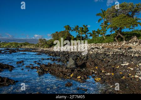 Sonnenuntergang an einer Küste in Hawaii Stockfoto