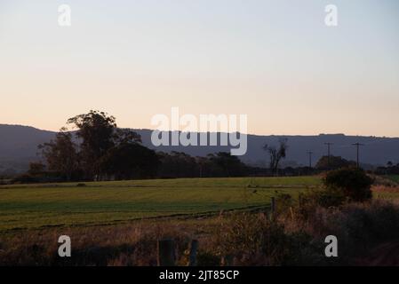 Landschaften des Pampa-Bioms bei Sonnenuntergang. Am späten Nachmittag auf dem Feld. Ländliche Landschaften. Abenddämmerung in landwirtschaftlichen Gebieten. Natur. Farben und Lichter der Dämmerung. Feelin Stockfoto