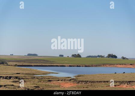 Ländliche Landschaft im Pampa-Biom in Südamerika. Die Pampa hat eine große Pflanzenvielfalt, mit etwa dreitausend Pflanzenarten, die gefunden werden. Stockfoto