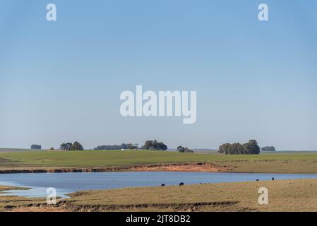 Ländliche Landschaft im Pampa-Biom in Südamerika. Die Pampa hat eine große Pflanzenvielfalt, mit etwa dreitausend Pflanzenarten, die gefunden werden. Stockfoto