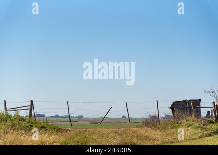 Ländliche Landschaft im Pampa-Biom in Südamerika. Die Pampa hat eine große Pflanzenvielfalt, mit etwa dreitausend Pflanzenarten, die gefunden werden. Stockfoto