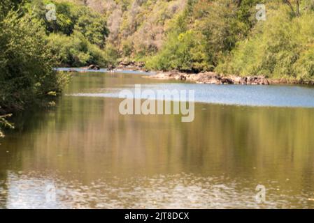 Ländliche Landschaft Pampa Biom im Süden Brasiliens. Bereich der Erhaltung der Umwelt. Rio Grande do Sul RS Brasilien. Ländlicher Tourismus. Getreideproduktion Stockfoto