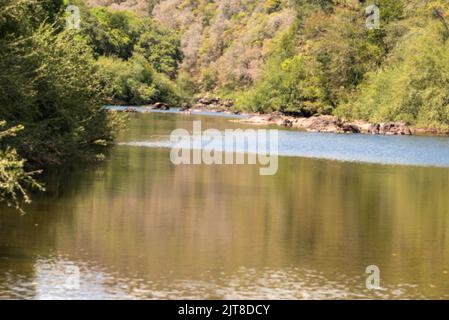 Ländliche Landschaft Pampa Biom im Süden Brasiliens. Bereich der Erhaltung der Umwelt. Rio Grande do Sul RS Brasilien. Ländlicher Tourismus. Getreideproduktion Stockfoto