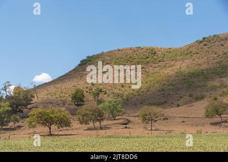 Ländliche Landschaft Pampa Biom im Süden Brasiliens. Bereich der Erhaltung der Umwelt. Rio Grande do Sul RS Brasilien. Ländlicher Tourismus. Getreideproduktion Stockfoto