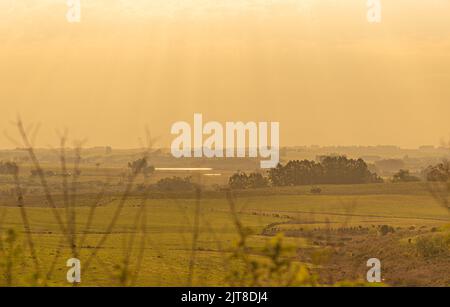 Morgendämmerung auf den Feldern des Pampa-Bioms im Süden Brasiliens. Temperiertes Klima Biom, mit der Anwesenheit von großen Feldern von Gräsern, auch bekannt als Gräser Stockfoto