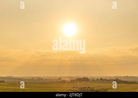 Morgendämmerung auf den Feldern des Pampa-Bioms im Süden Brasiliens. Temperiertes Klima Biom, mit der Anwesenheit von großen Feldern von Gräsern, auch bekannt als Gräser Stockfoto