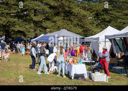 Palm Beach in Sydney, sonniger Wintertag und Marktstände am Markttag, Sydney, NSW, Australien Stockfoto