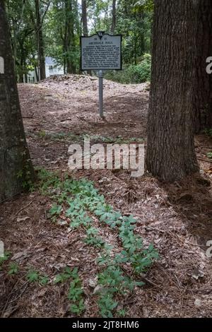 Die Überreste der Archdale Hall-Plantage befinden sich inmitten einer modernen Unterteilung an der Dorchester Road in North Charleston, South Carolina. Stockfoto