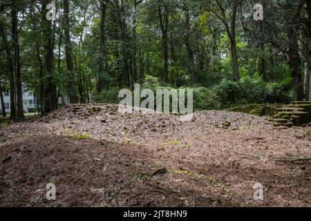 Die Überreste der Archdale Hall-Plantage befinden sich inmitten einer modernen Unterteilung an der Dorchester Road in North Charleston, South Carolina. Stockfoto