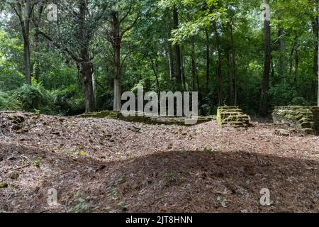 Die Überreste der Archdale Hall-Plantage befinden sich inmitten einer modernen Unterteilung an der Dorchester Road in North Charleston, South Carolina. Stockfoto