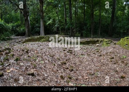 Die Überreste der Archdale Hall-Plantage befinden sich inmitten einer modernen Unterteilung an der Dorchester Road in North Charleston, South Carolina. Stockfoto