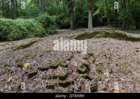 Die Überreste der Archdale Hall-Plantage befinden sich inmitten einer modernen Unterteilung an der Dorchester Road in North Charleston, South Carolina. Stockfoto