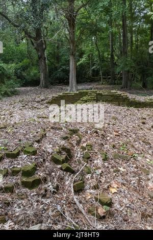 Die Überreste der Archdale Hall-Plantage befinden sich inmitten einer modernen Unterteilung an der Dorchester Road in North Charleston, South Carolina. Stockfoto