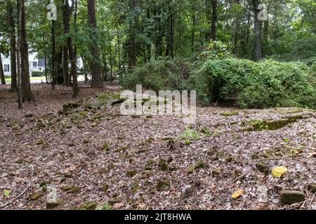 Die Überreste der Archdale Hall-Plantage befinden sich inmitten einer modernen Unterteilung an der Dorchester Road in North Charleston, South Carolina. Stockfoto