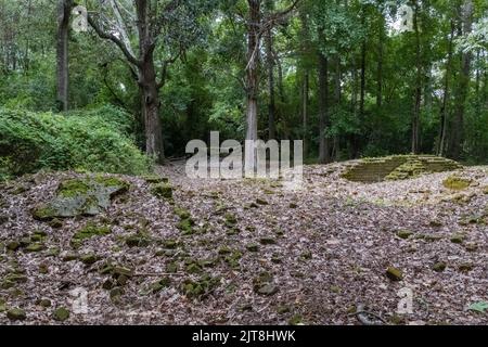 Die Überreste der Archdale Hall-Plantage befinden sich inmitten einer modernen Unterteilung an der Dorchester Road in North Charleston, South Carolina. Stockfoto