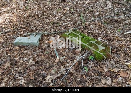 Die Überreste der Archdale Hall-Plantage befinden sich inmitten einer modernen Unterteilung an der Dorchester Road in North Charleston, South Carolina. Stockfoto