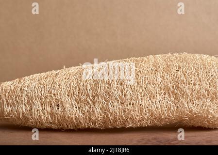 Loofah, biologisch abbaubarer ökologischer Gemüseschwamm. Konzepte: Nachhaltiger Lebensstil, Auswahl umweltfreundlicher Produkte. Stockfoto