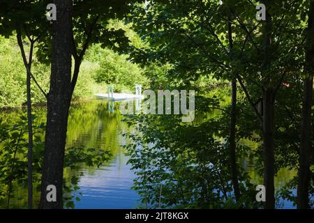 Blick auf weiß gestrichenen Dock am See durch Bäume im Frühjahr. Stockfoto