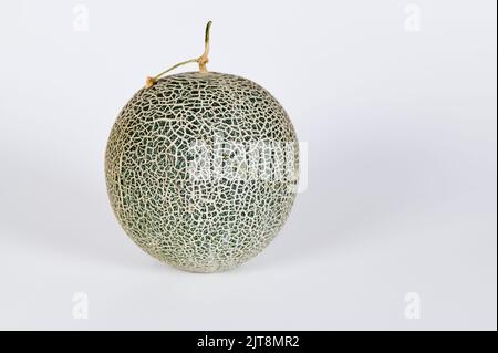 Single Cantaloupe Melone auf weißem Hintergrund Stockfoto