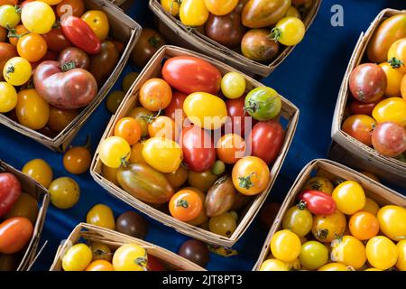Bunte Tomaten, Muster aus gelben, roten und orangefarbenen Kirschtomaten Stockfoto