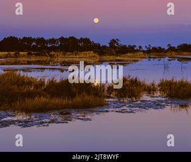 Mondaufgang, Doe Hall Plantation, McLellanville, South Carolina Stockfoto