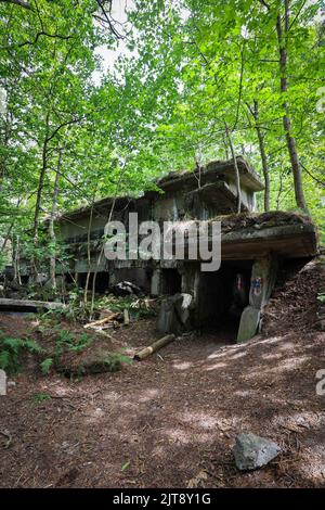 Geesthacht, Deutschland. 02. August 2022. Die Ruinen des ehemaligen Gebäudes für vier Pulverpressen sind auf dem Gelände der Büchsenpulverfabrik Düneberg bei einem Rundgang mit dem Förderkreis Industriemuseum Geesthacht zu sehen. In den Besenhorster Sandhügeln an der Geesthacht an der Elbe bei Hamburg stehen immer noch Reste einer einst gigantischer Schießpulver-Fabrik. (To dpa: 'Geesthacht Dünen verbergen Ruinen voller Geschichte') Quelle: Christian Charisius/dpa/Alamy Live News Stockfoto