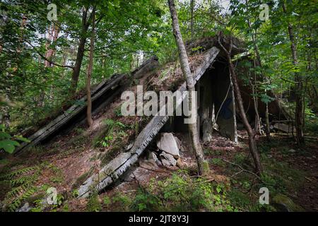 Geesthacht, Deutschland. 02. August 2022. Die Ruinen einer ehemaligen Walzmühle sind auf dem Gelände der Düneberger Schießpulverfabrik bei einem Rundgang mit dem Förderkreis Industriemuseum Geesthacht zu sehen. In den Besenhorster Sanddünen an der Geesthacht an der Elbe bei Hamburg stehen immer noch Reste einer einst gigantischer Schießpulver-Fabrik. (To dpa: 'Geesthacht Dünen verbergen Ruinen voller Geschichte') Quelle: Christian Charisius/dpa/Alamy Live News Stockfoto