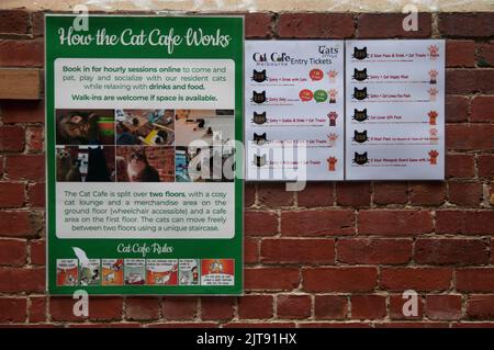 Skurriles „Cat Cafe“ in einer Stadtstraße, Melbourne, Victoria, Australien Stockfoto