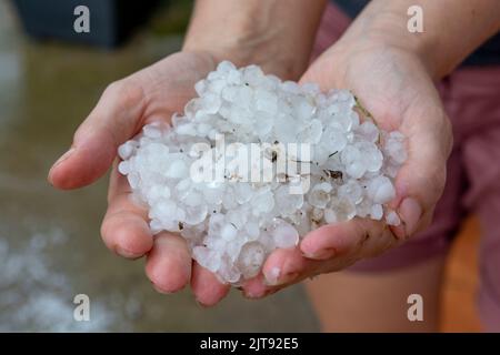 Frau Hände halten Hagel Steine im Garten nach Sturm im Sommer. Stockfoto