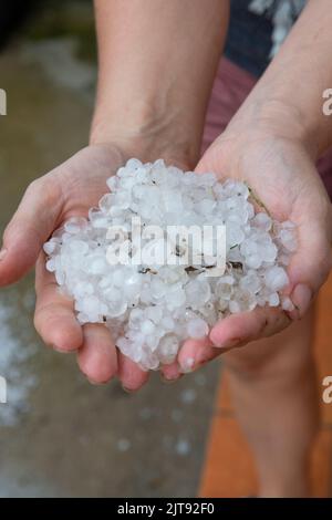 Frau Hände halten Hagel Steine im Garten nach Sturm im Sommer. Stockfoto