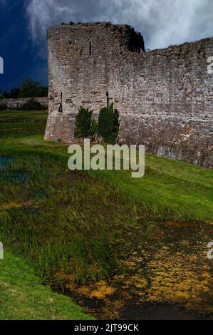 Wasserpflanzen gedeihen im tiefen Graben, der sich um den Nordeckenturm des inneren bailey of Pevensey Castle, einer mittelalterlichen Festung, innerhalb der alten römischen Außenmauern in East Sussex, England, Großbritannien, dreht. Die Burg wurde von den Normannen kurz nach dem Sieg William des Eroberers über die Engländer in der Schlacht von Hastings 1066 gegründet. Stockfoto