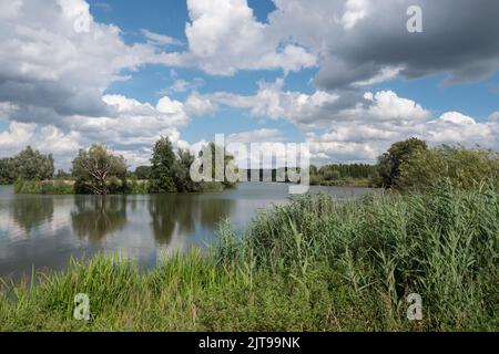 Polderlandschaftsfoto mit Wasser und einem blau bewölkten Himmel Stockfoto