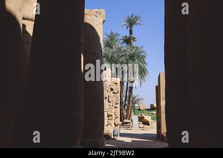 Alte ägyptische Ruinen des Karnak-Tempelkomplexes mit den Palmen im Hintergrund in der Nähe von Luxor, Ägypten Stockfoto