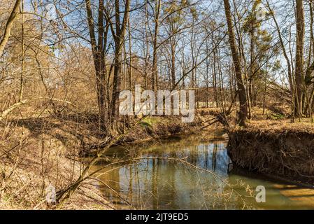 Schlängelnder Fluss mit Bäumen und Wiese im Hintergrund am frühen Frühlingstag mit klarem Himmel - Bilovka Fluss in CHKO Poodri in tschechischer Rep Stockfoto