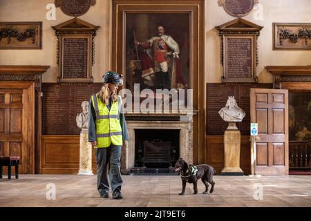 National Dogs Day – Pip, ein „verrottungsvoller Hund“, der mit dem Hundeführer Isobel Mar im St. Bartholomew’s Hospital North Wing, Großbritannien, nasse und trockene Fäule herausschnuppern ‘ Stockfoto