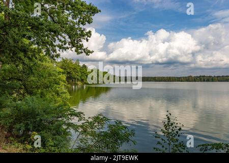 Sommertag in der Nähe von Waldsee. Stockfoto