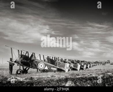 Sopwith Kamele der US 148. American Aero Squadron in Petite Sythe (heute Teil von Dunkerque), Frankreich, am 6. August 1918. Die Camel, ein britisches Doppeldecker-Kampfflugzeug mit einem Sitz, wurde während des Ersten Weltkriegs 1917 an der Westfront eingeführt. Es wurde von einem einzigen Drehmotor angetrieben und war mit zwei synchronisierten Vickers-Maschinengewehren bewaffnet. Insgesamt wurden den Piloten von Camel 1.294 feindliche Flugzeuge gutgeschrieben, mehr als jeder andere alliierte Kämpfer des Konflikts. Stockfoto