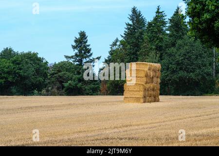Strohballen auf einem Feld gestapelt Stockfoto